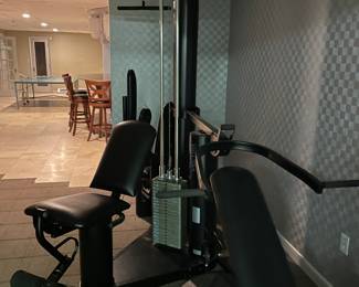 Vector 1500 all in one gym