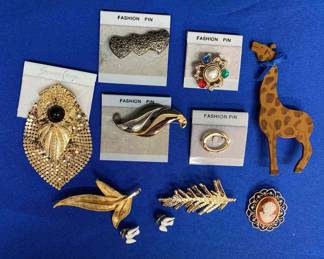 Brooch And Pins Variety 