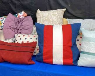 Large Pillow Lot Small And Medium 