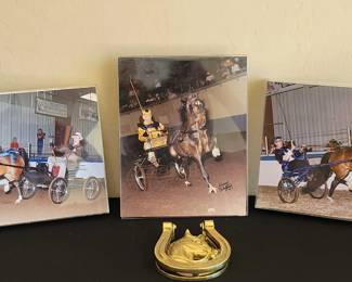 Horse Buggy Photos By Howard Schotzberg