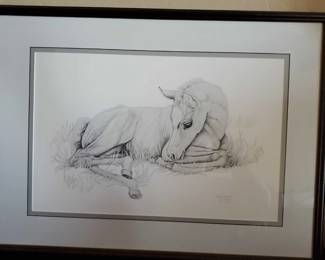 Sue Rupp Foal Print