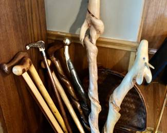 Unique walking stick collection