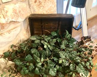 Greenery in wicker trunk