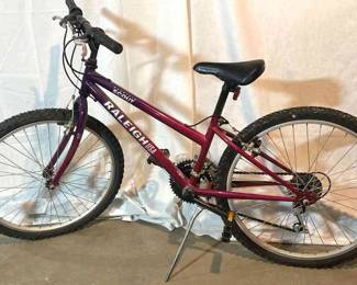 Mountain Scout Raleigh USA Bicycle 