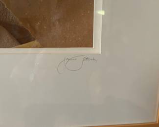 Jeanne Petrosky signed paper art "3d" 