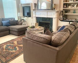 Large grayish brown sectional