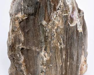 Large petrified wood flint rock 