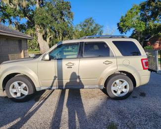 Another View of Ford Escape