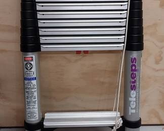 Telesteps Model 1600 EP Ladder