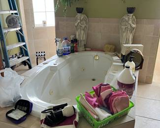 Lots of toiletries Wen hair products