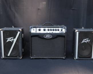 Set of Peavey Speakers and Combo Amp