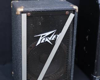 Set of Peavey Speakers and Combo Amp
