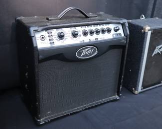 Set of Peavey Speakers and Combo Amp