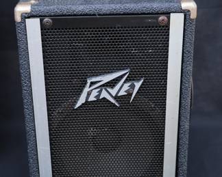 Set of Peavey Speakers and Combo Amp