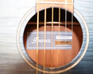 Ibanez Acoustic Electric Guitar Blue Indigo Sunset