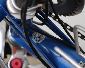 Vision Recumbent Bicycle Advanced Transportation Products Inc