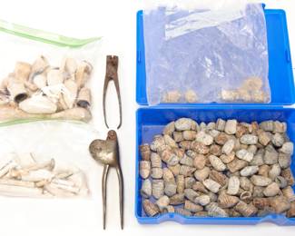 Civil War clay pipes and clay bullets lot #2