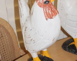 Close up of the hen