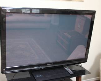 Panasonic 48 inch flat screen tv - it'll be a bargain!