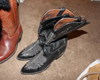 More Cowboy boots