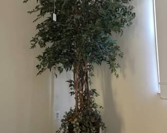 faux ficus