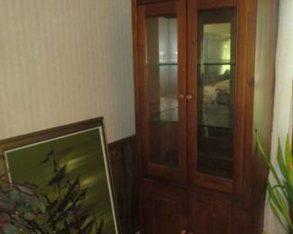 Lighted display cabinet