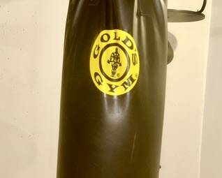 Gold Gym punching bag