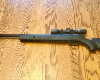 Gamo pellet gun