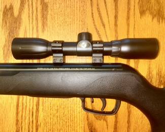 Gamo pellet gun, close up of scope