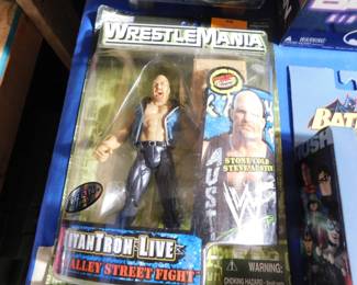WWE action figure