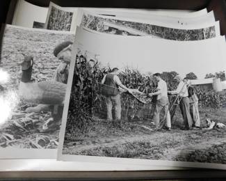 Black and white photos