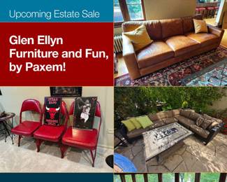 Glen Ellyn Furniture and Fun, by Paxem!