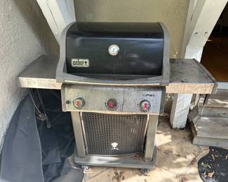 Weber Grill