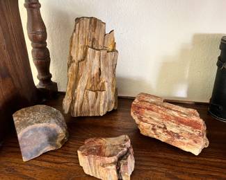 Petrified wood
