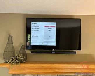 LG 42" LCD TV