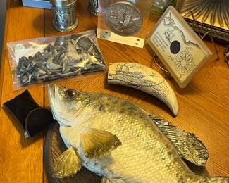 Scrimshaw faux whale tooth - taxidermy fish - shark teeth - Bicentennial US Navy Bronze