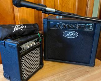 Peavey mike and solo guitar amp - Washburn bad dog 8 watt amp