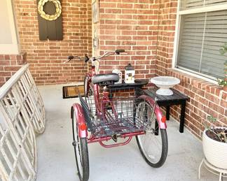 Schwann Meridian Tricycle with Basket