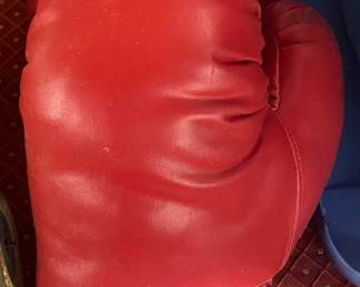 Boxing Gloves Premium