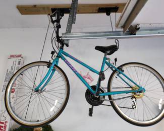 Attraction Giant bike