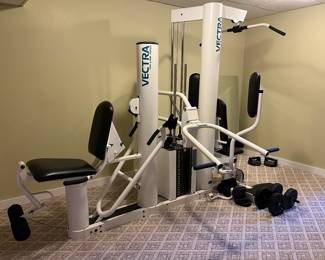 Vectra On Line 3800 Fitness Equipment, room for 3 