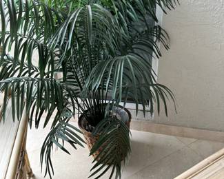 artificial plant