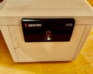 Sentry 1170 Fireproof Safe with Key