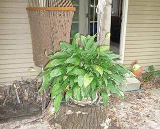 Hanging Swing & Tree Stump