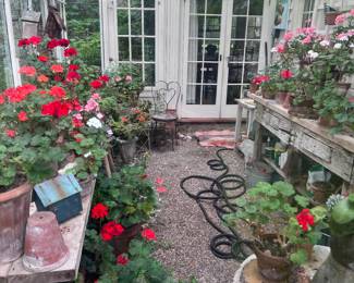 Wonderful greenhouse plant table/ benches