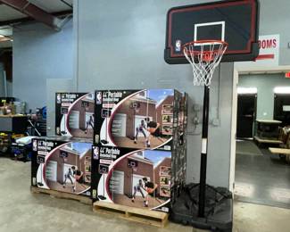 Basketball Hoops Orlando Auction