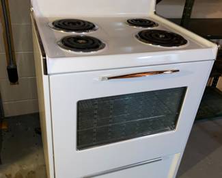 Electric oven 