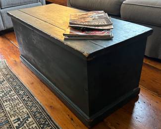 Blue Painted pine trunk