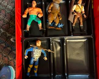 Teenage Mutant Ninja Turtle Cases