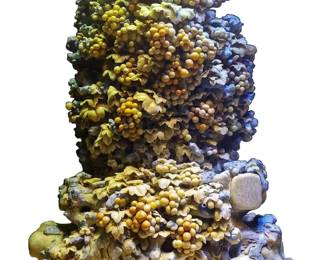 Lot 705 Monumental Qing Tian Stone Harvest of Fruit 77 x 32 x 17 inches